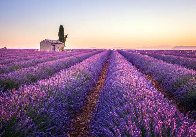 PRovence France