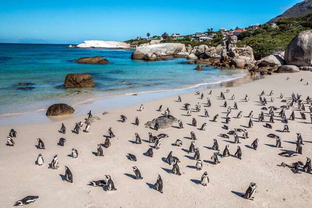 Cape town South Africa